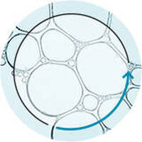 Riciclo Prodotti Skinceuticals