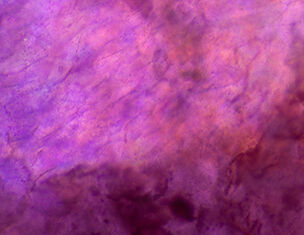 Texture astratta in toni di viola e rosa, con sfumature e venature sottili che creano un effetto visivo affascinante.