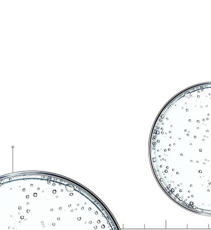 Due piastre di Petri contenenti un liquido trasparente con molte bolle d'aria.