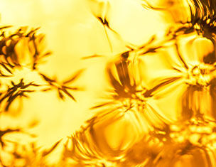 Texture di liquido dorato con riflessi e ombre di elementi naturali, creando un&apo;atmosfera calda e avvolgente.