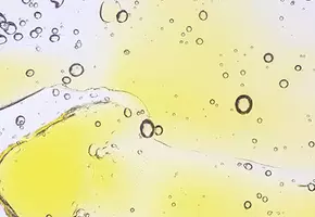 Paraben Free