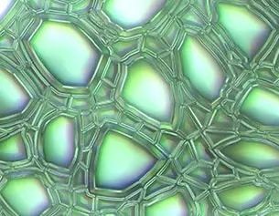 Struttura astratta con bolle di sapone iridescenti in tonalita verdi e blu, formando un pattern sinuoso e suggestivo.