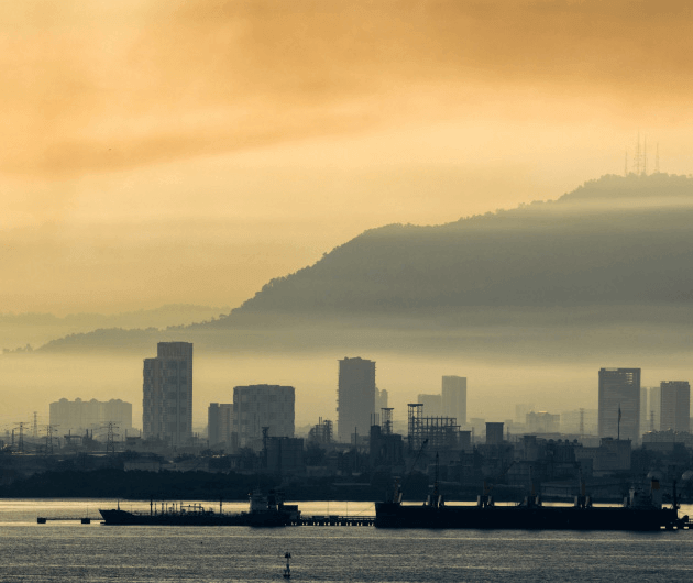 Difesa Antiossidante contro l Iperpigmentazione