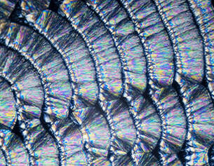 Dettagli ravvicinati di una superficie iridescente, mostrando texture ondulate e riflessi colorati.