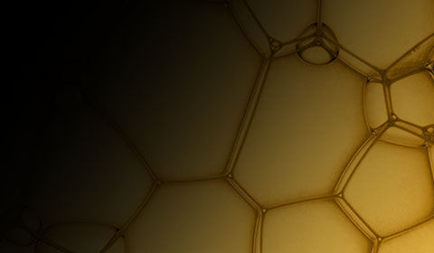 Phloretin