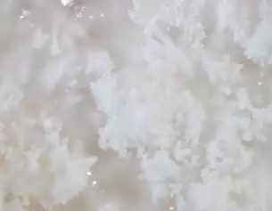 Close-up of fluffy, white crystalline structures resembling snowflakes or cotton, softly blending into a light background.