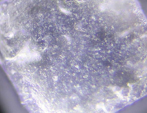 Zinc PCA Ingredient Image