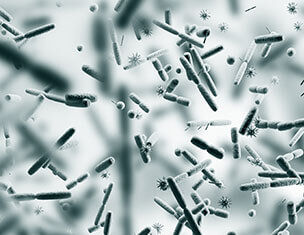 Immagine al microscopio di batteri e microrganismi che oscillano su uno sfondo sfocato.