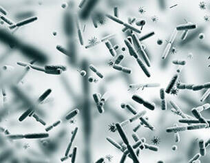 Immagine al microscopio di batteri e microrganismi che oscillano su uno sfondo sfocato.