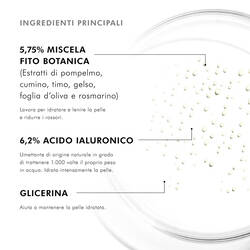 Phyto Corrective Essence Mist