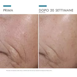 C E Ferulic