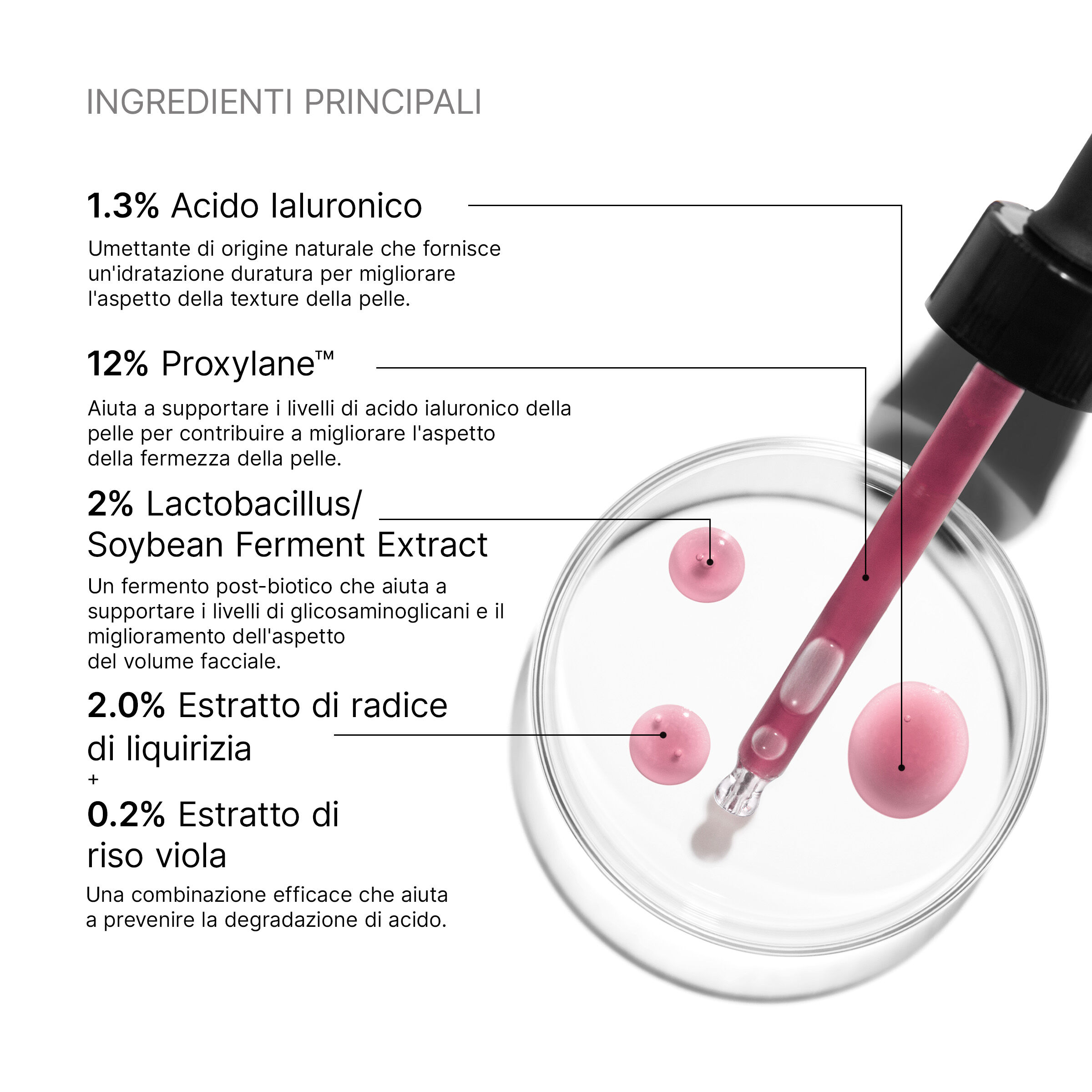 HA Intensifier Multi-Glycan